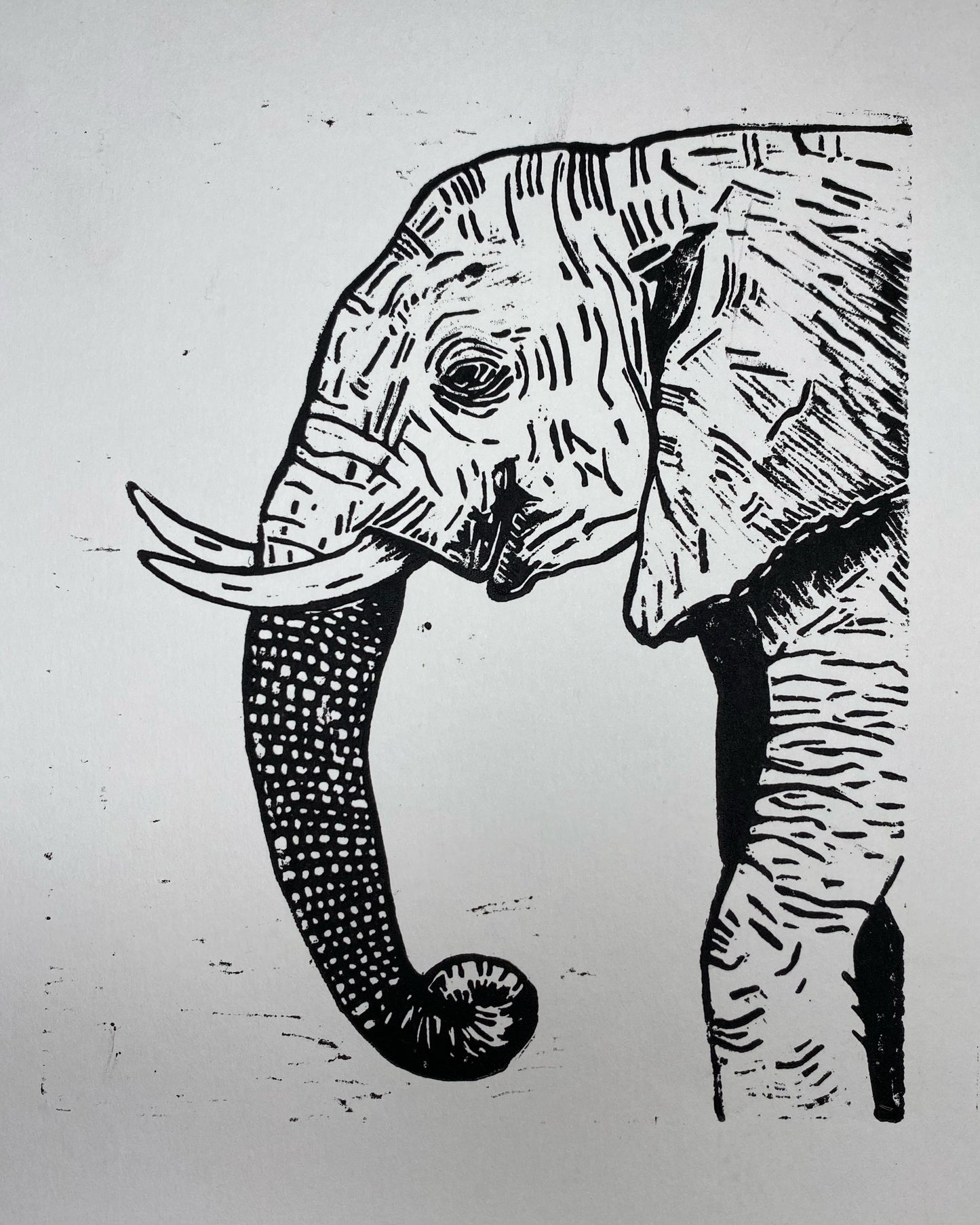 Elephant (NOT Sold Out: Please go to the full collection to purchase)