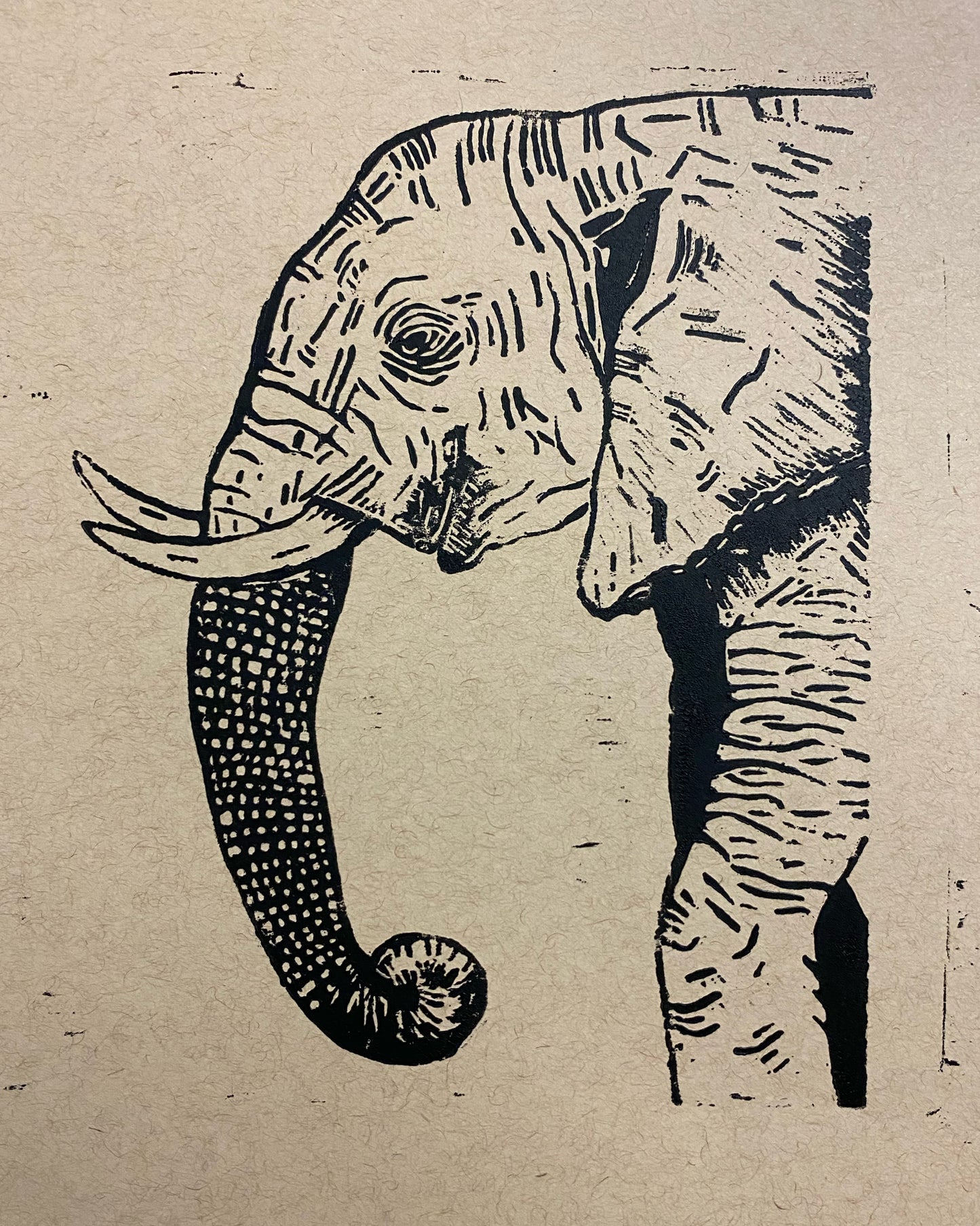 Elephant Print 8