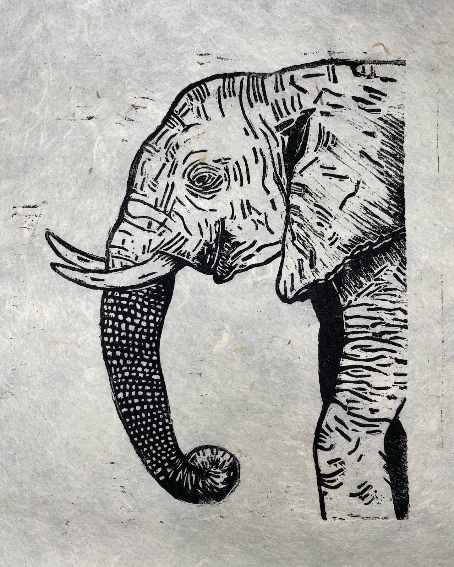 Elephant Print 10