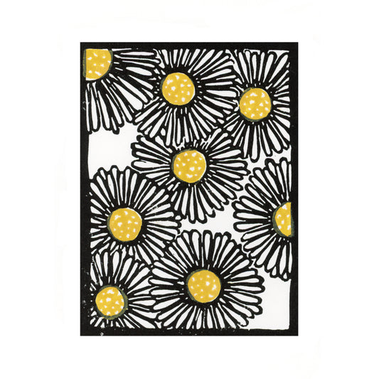 Daisies Color