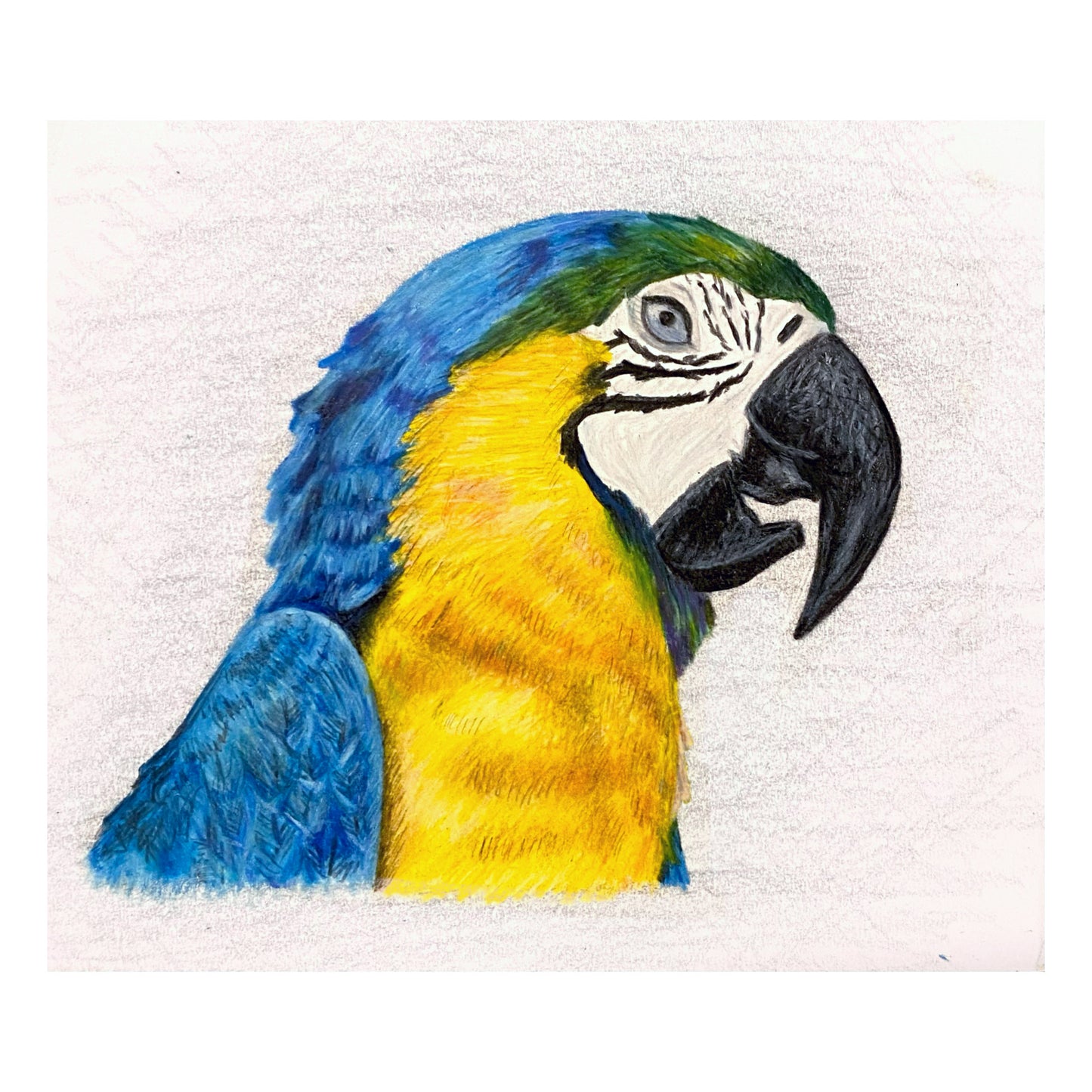 Parrot Print